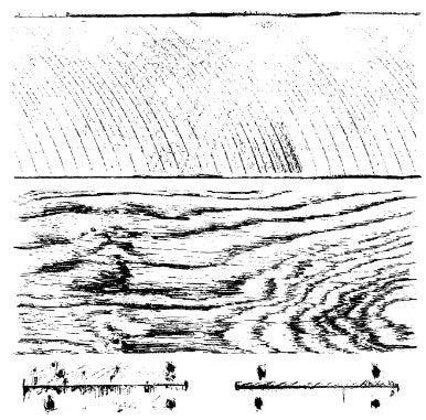 Iron Orchid Designs - Barnwood Planks Stamp