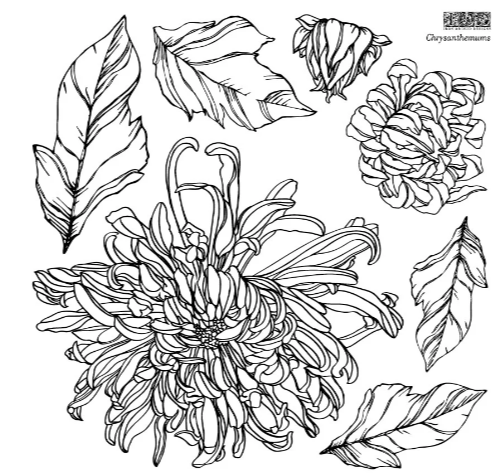 Iron Orchid Designs - Chrysanthemums Stamp - Retiring