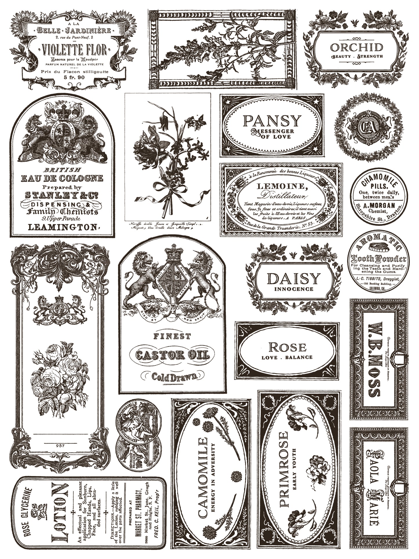 Iron Orchid Designs Floriography Paint Inlay
