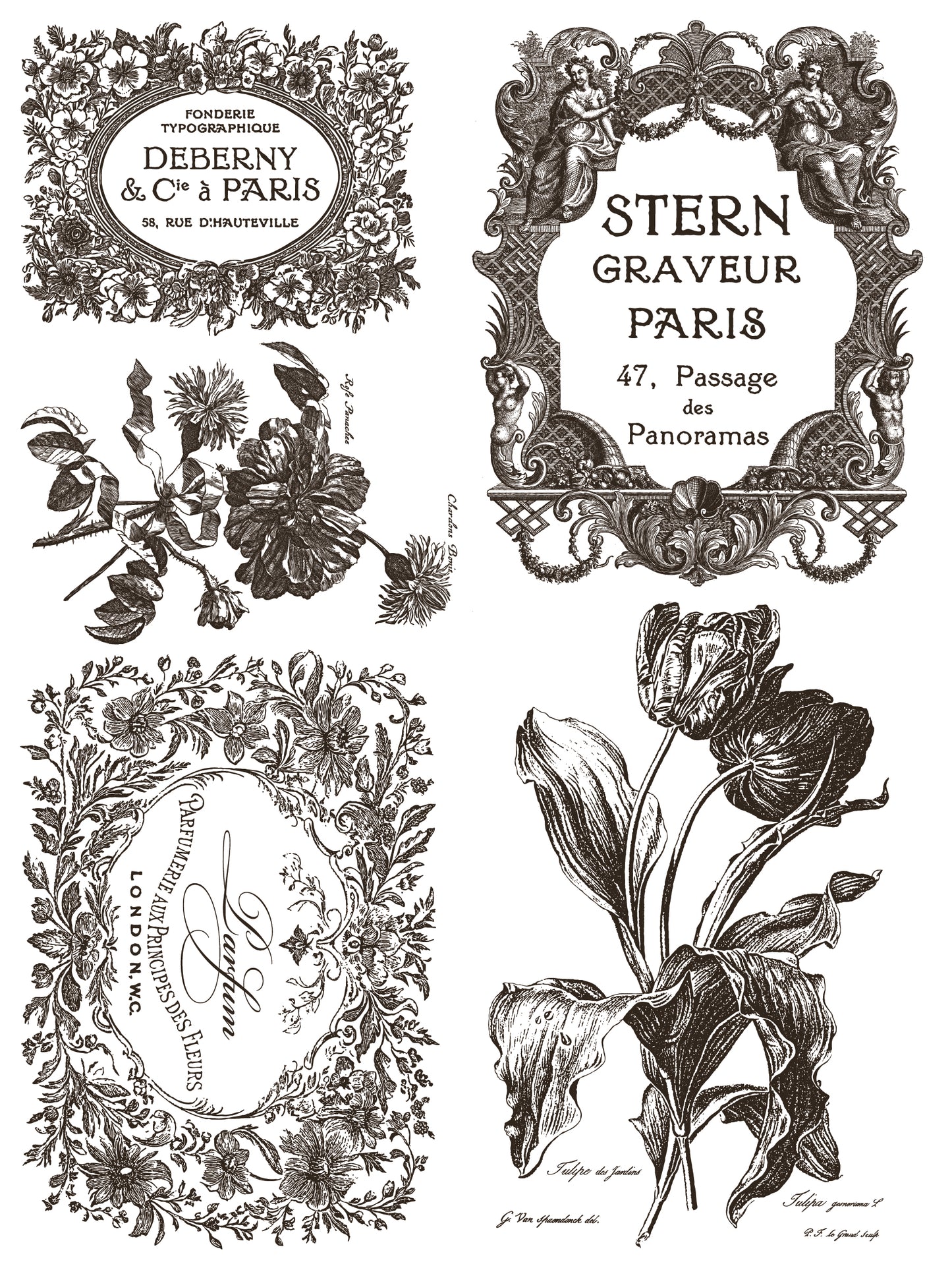 Iron Orchid Designs Floriography Paint Inlay