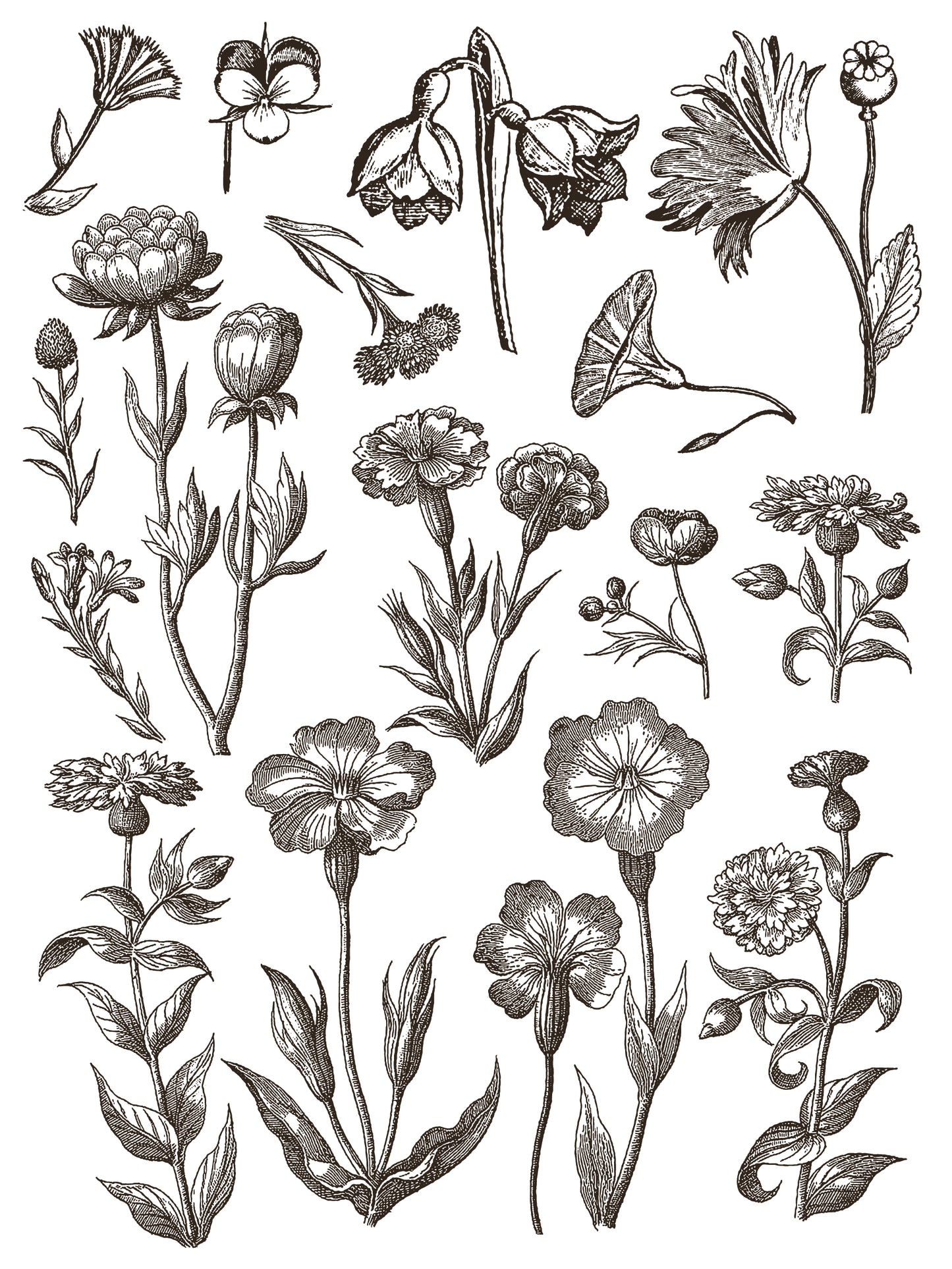 Iron Orchid Designs Floriography Paint Inlay