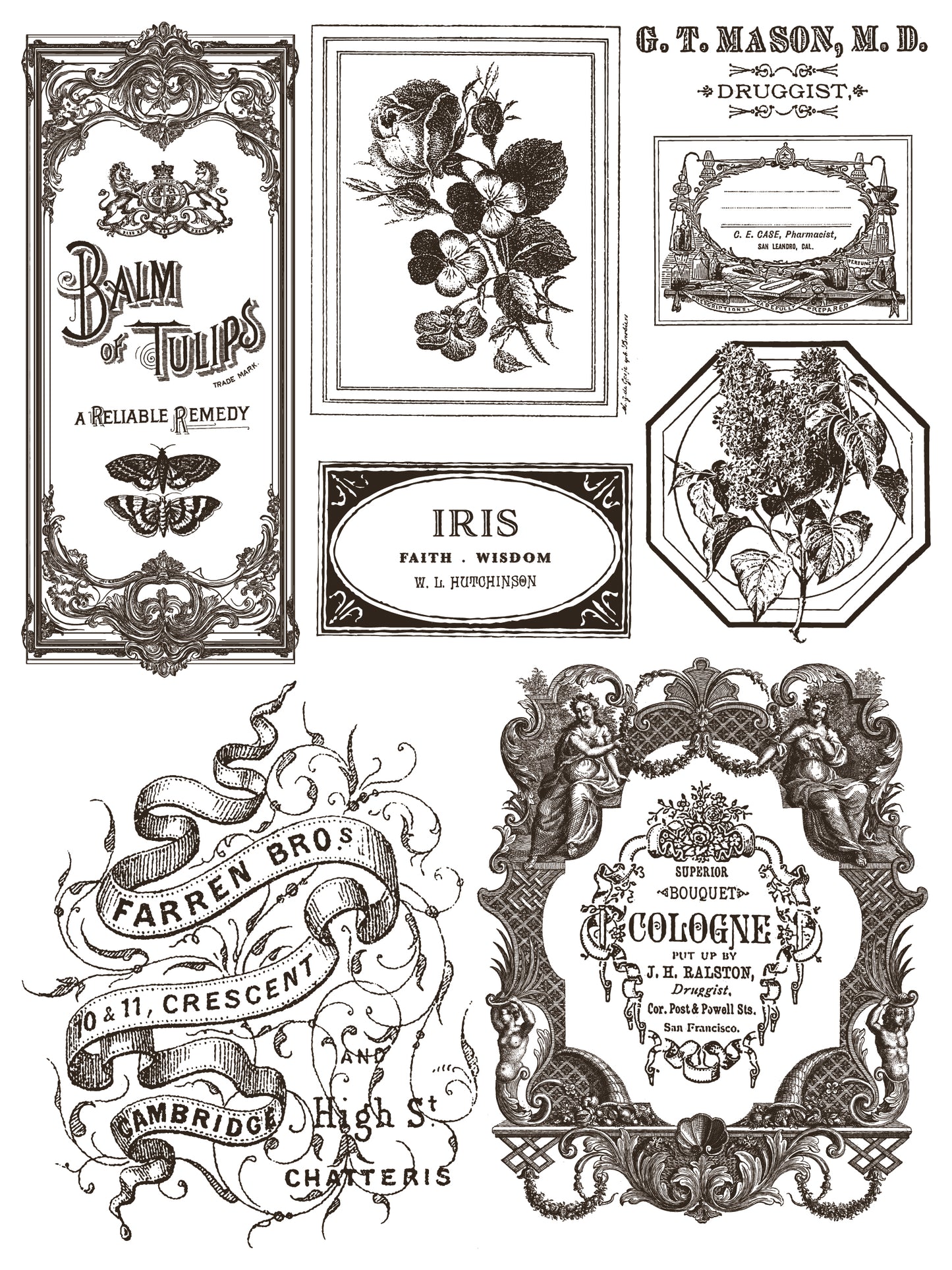 Iron Orchid Designs Floriography Paint Inlay