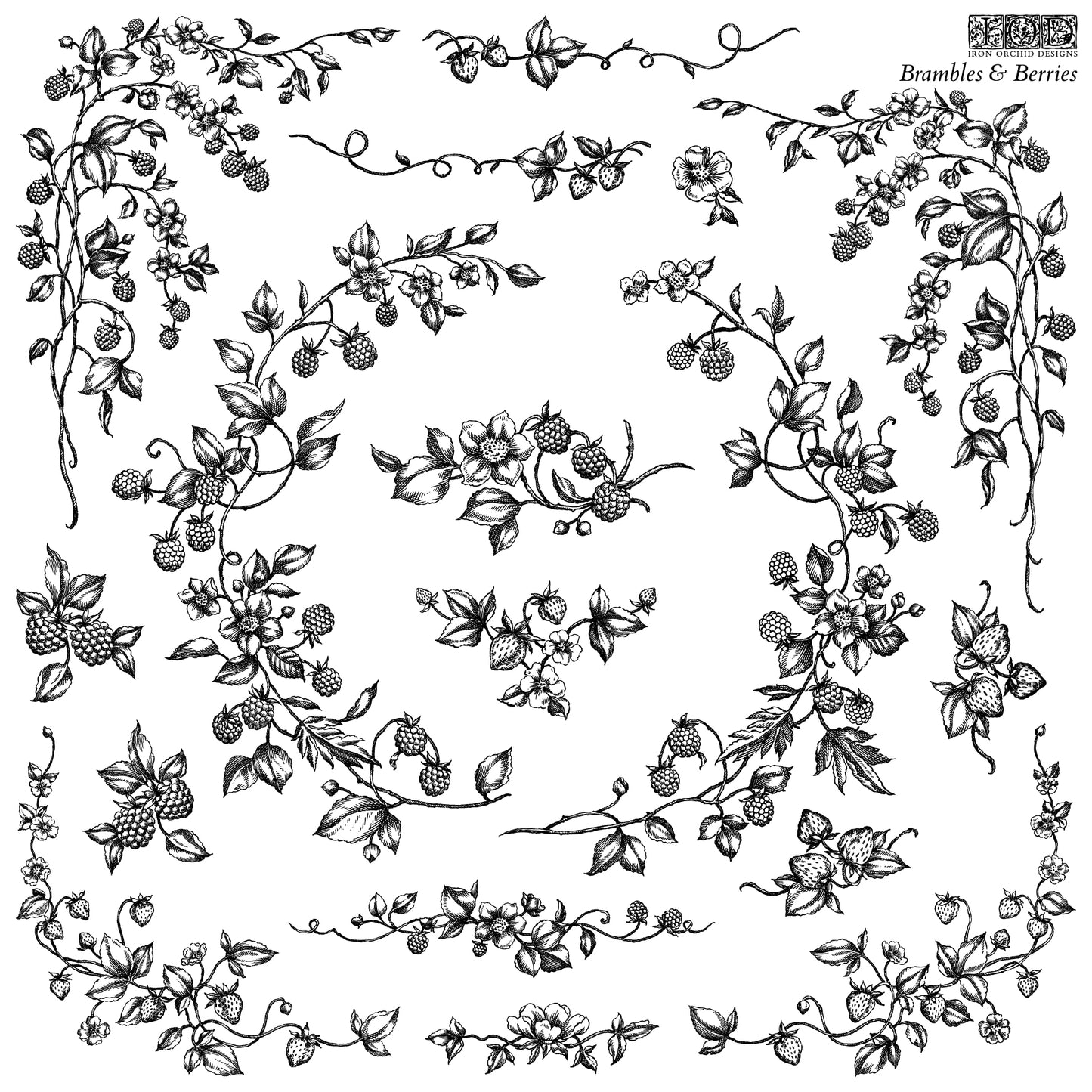 Iron Orchid Designs - Brambles & Berries Stamp
