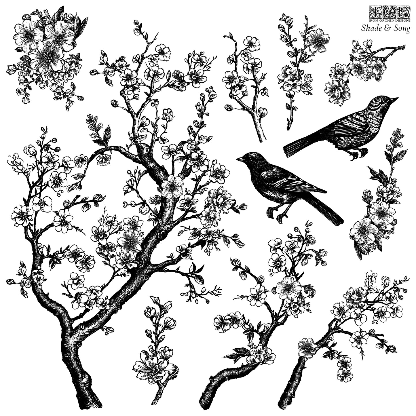 Iron Orchid Designs - Shade & Song Stamp