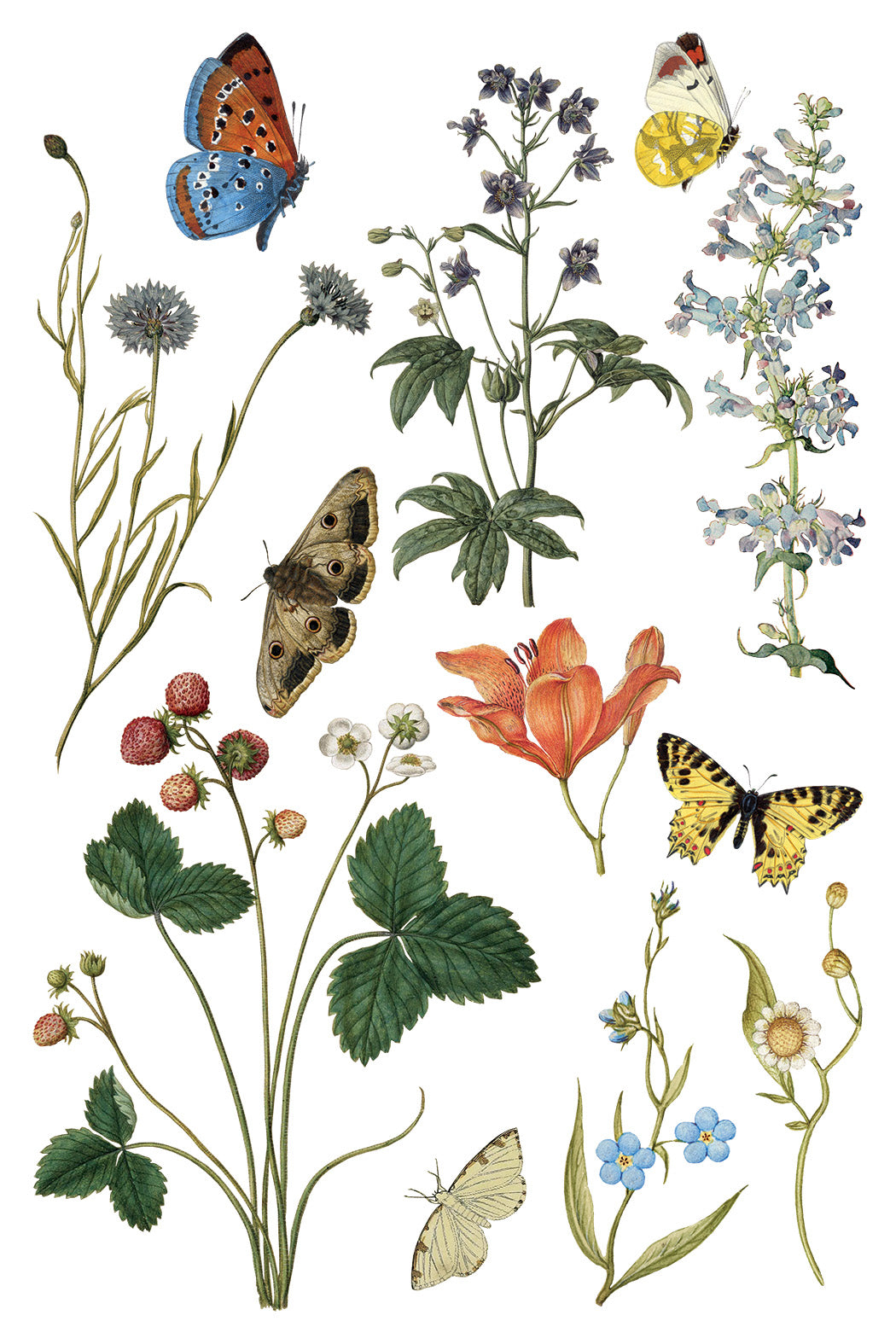 Iron Orchid Designs - Wilde Bloemen Transfer