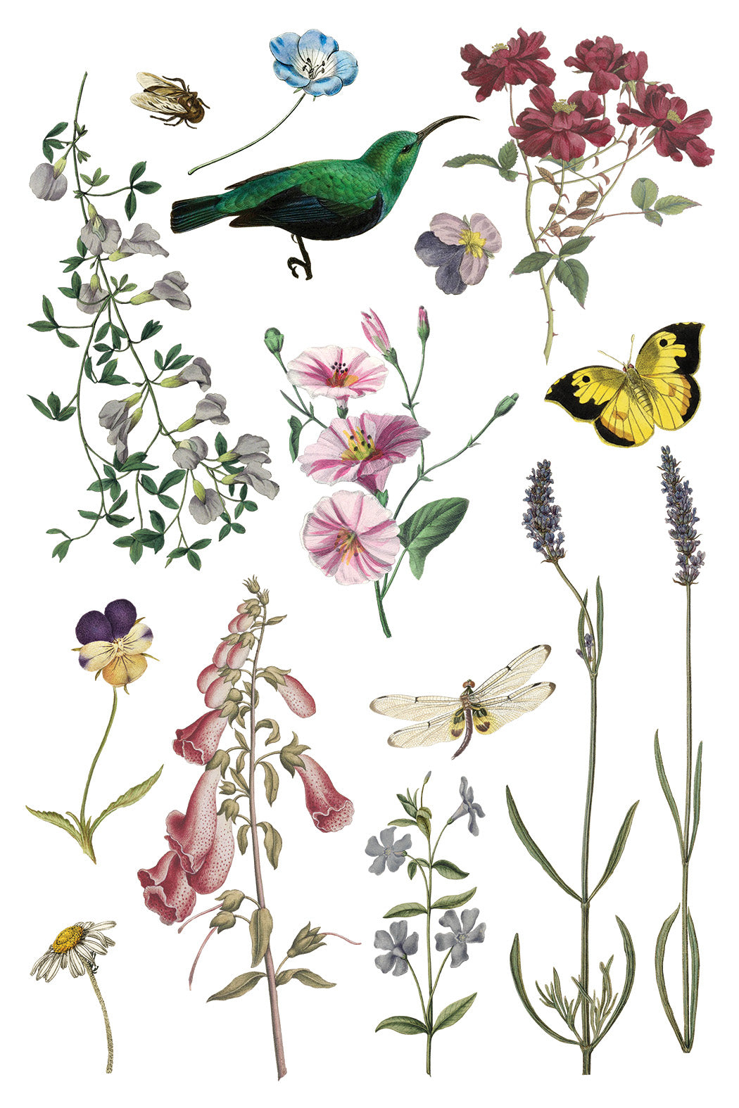 Iron Orchid Designs - Wilde Bloemen Transfer