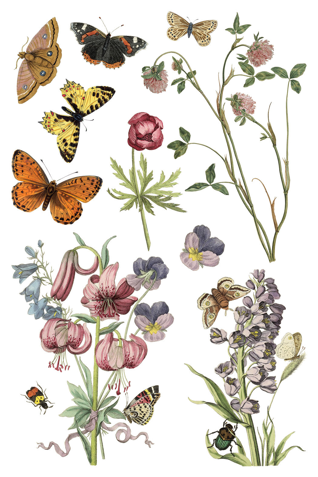 Iron Orchid Designs - Wilde Bloemen Transfer