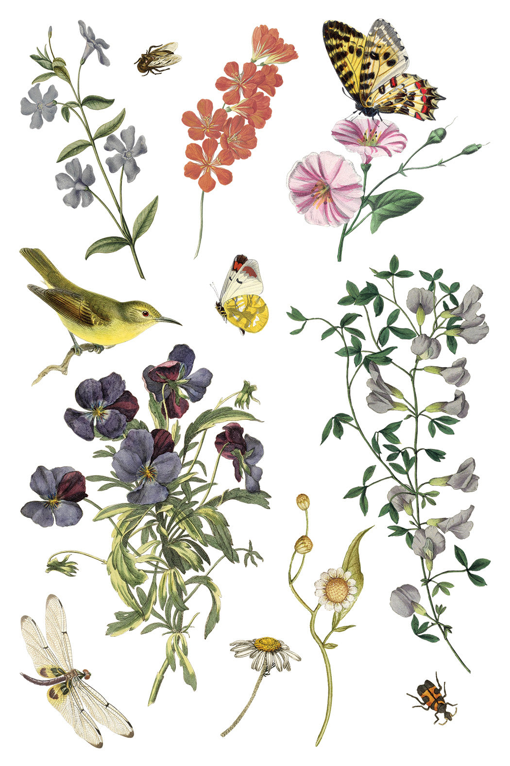 Iron Orchid Designs - Wilde Bloemen Transfer