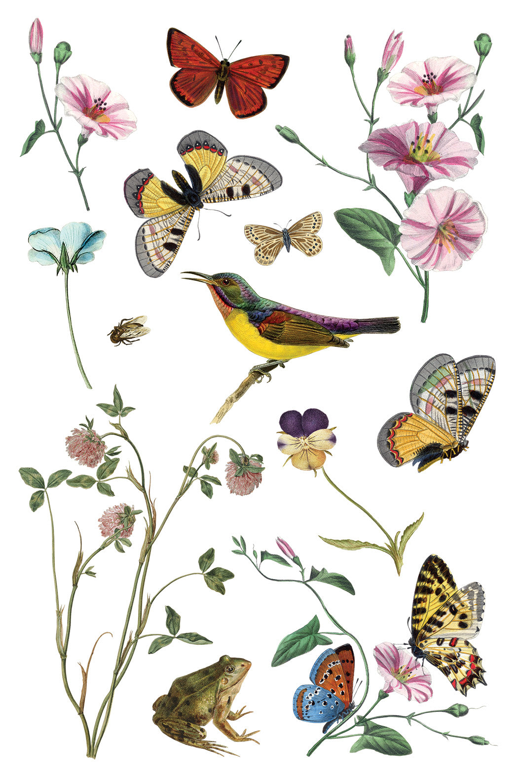 Iron Orchid Designs - Wilde Bloemen Transfer