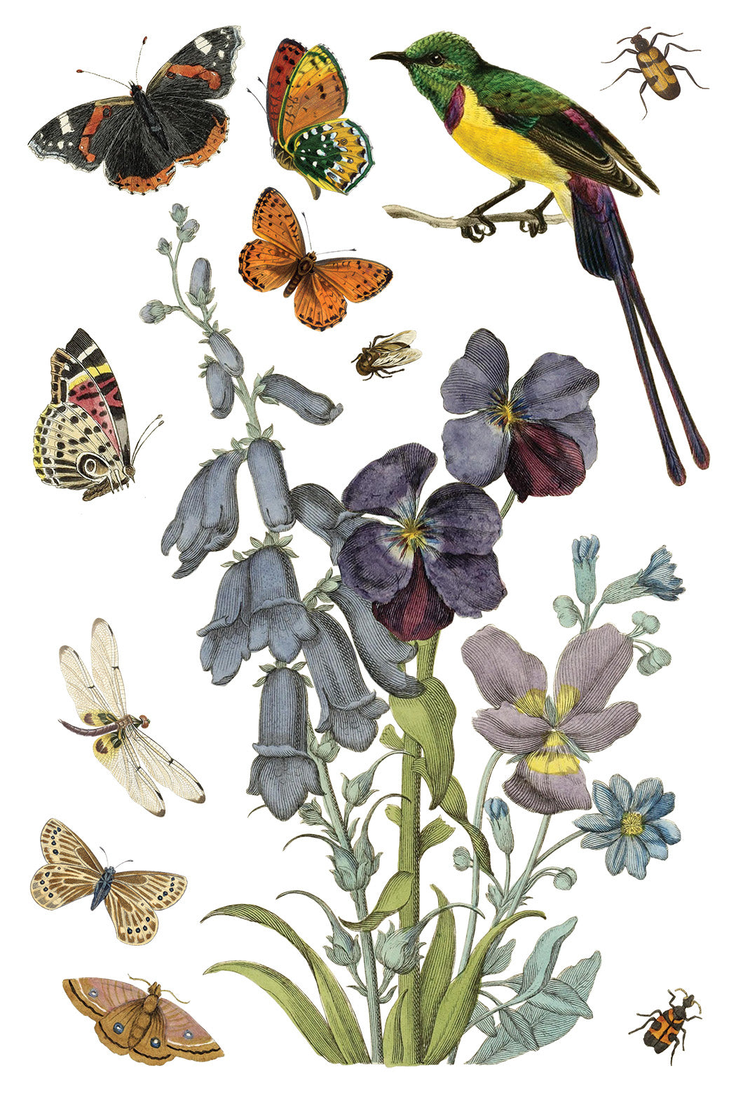 Iron Orchid Designs - Wilde Bloemen Transfer