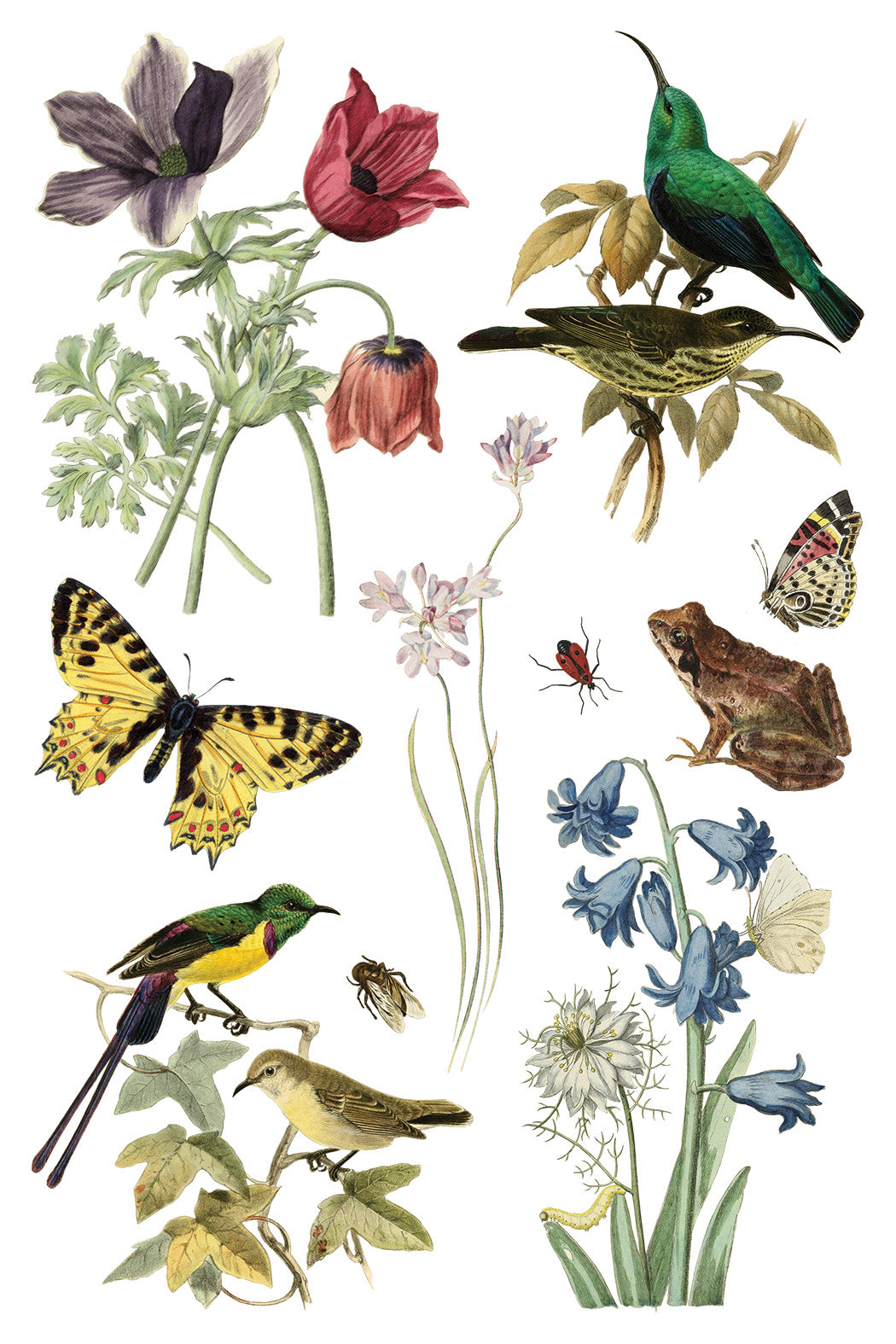 Iron Orchid Designs - Wilde Bloemen Transfer