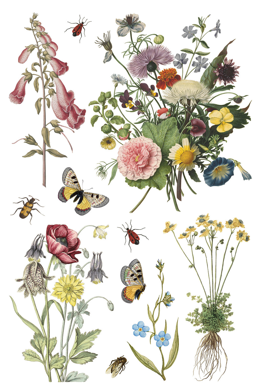 Iron Orchid Designs - Wilde Bloemen Transfer