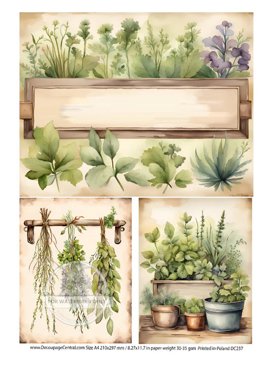A4 Herb Garden Decoupage Paper - DC237