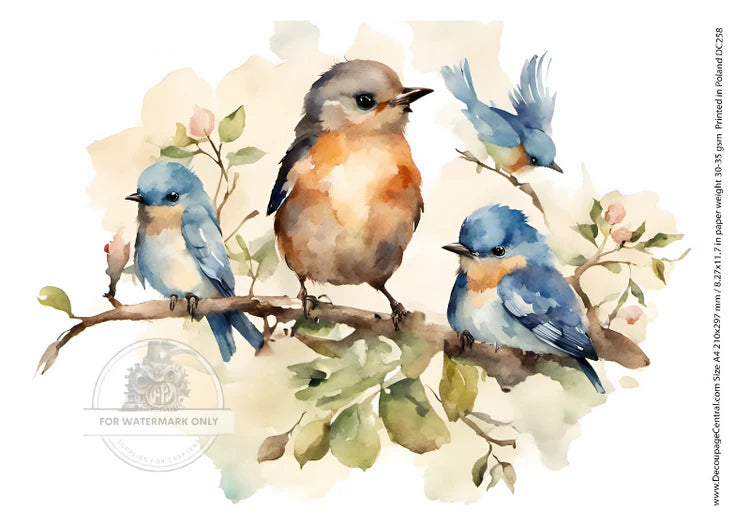 A4 Birds on Branch Decoupage Rice Paper - DC258