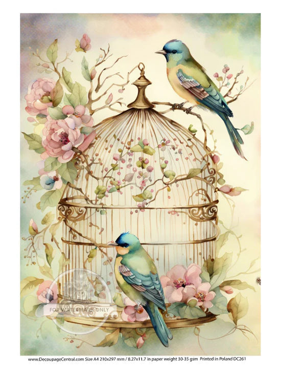 A4 Birdcage and Flowers Decoupage Rice Paper - DC261