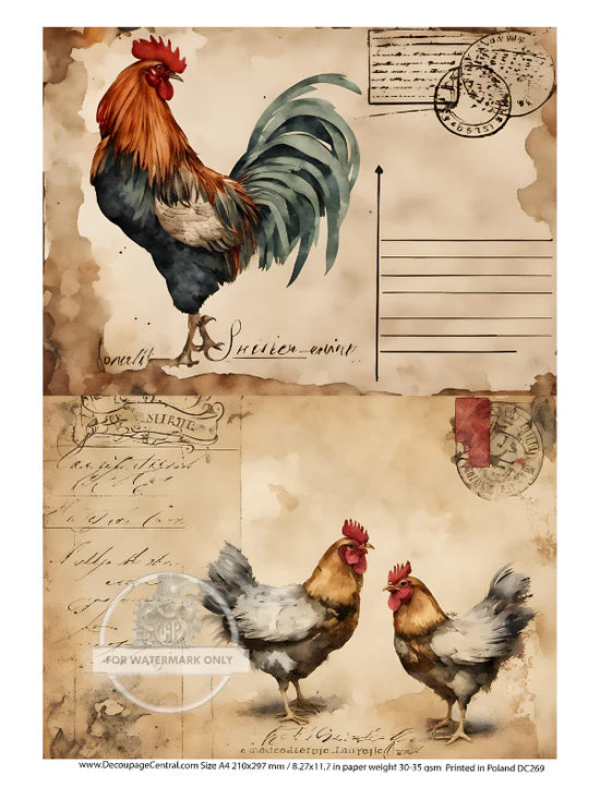 A4 Rooster and Hens Postale Decoupage Paper DC269