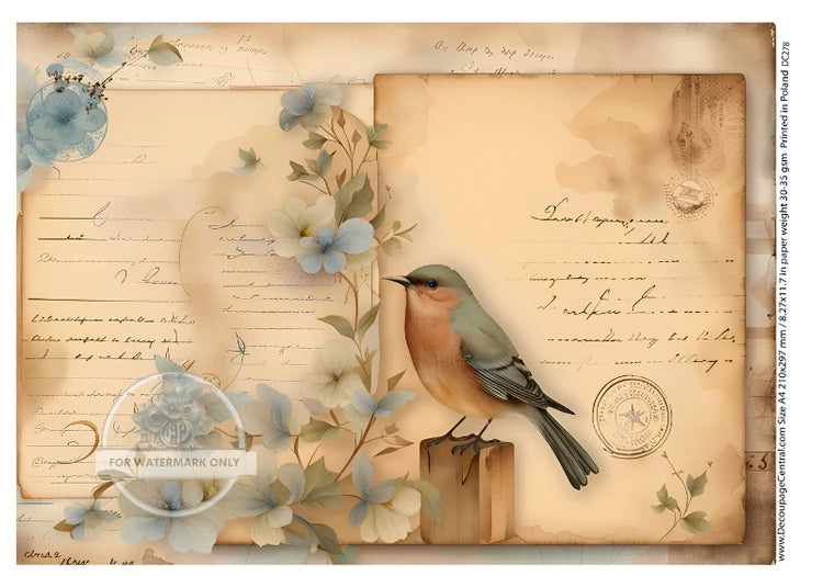 A4 Bird and Parchment Decoupage Rice Paper - DC278