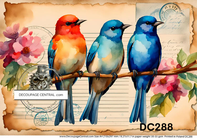 A4 Beautiful Birds Postale Decoupage Rice Paper - DC288