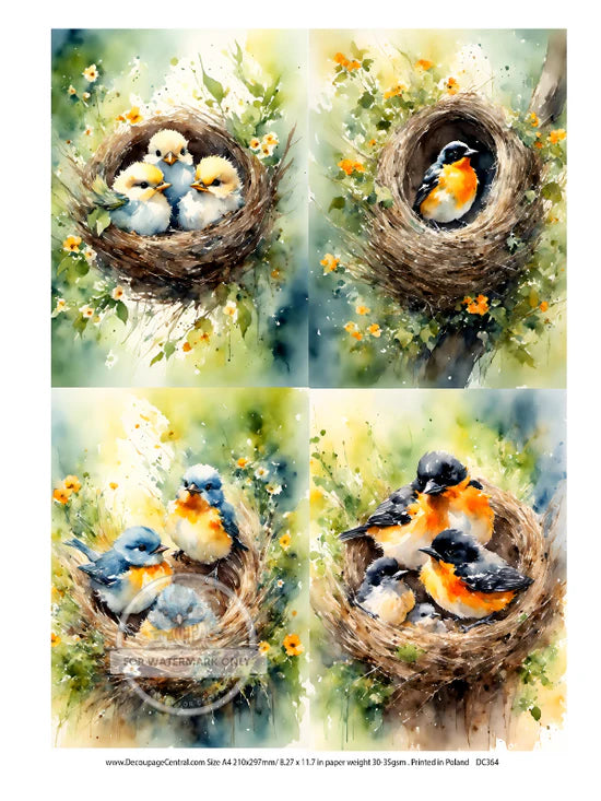 A4 Nest Birds Multi Decoupage Paper - DC364