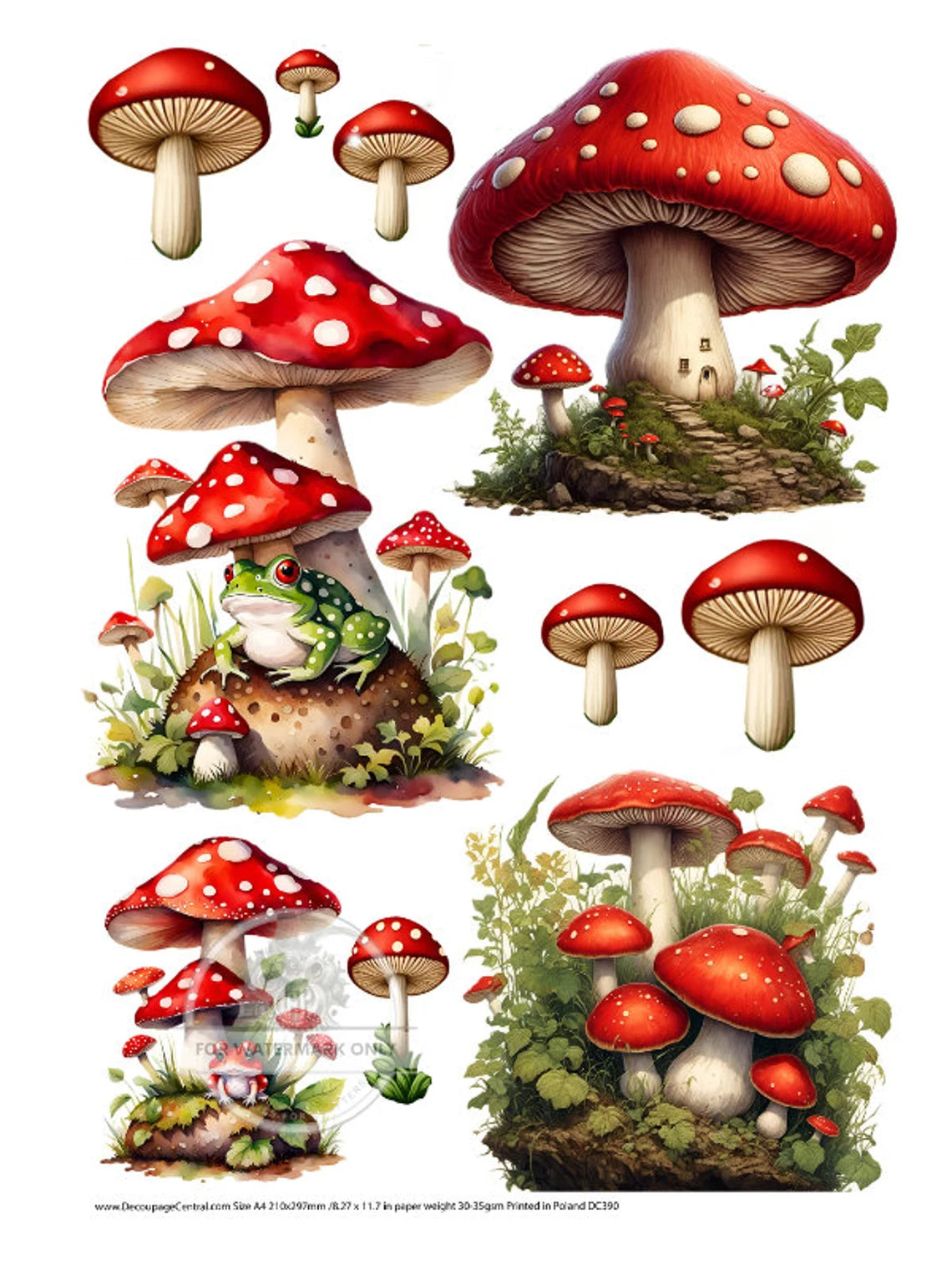 A4 Mushrooms n Toads Decoupage Rice Paper - DC385