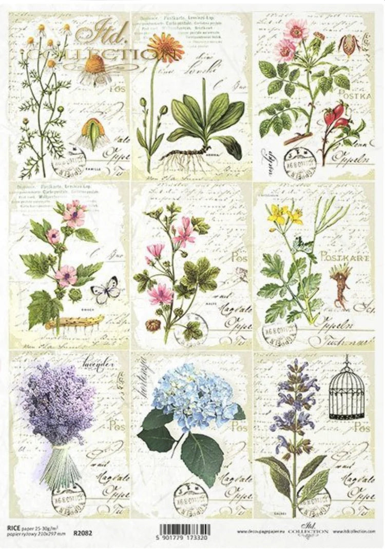 A4 Herbarium Decoupage Rice Paper - R2082
