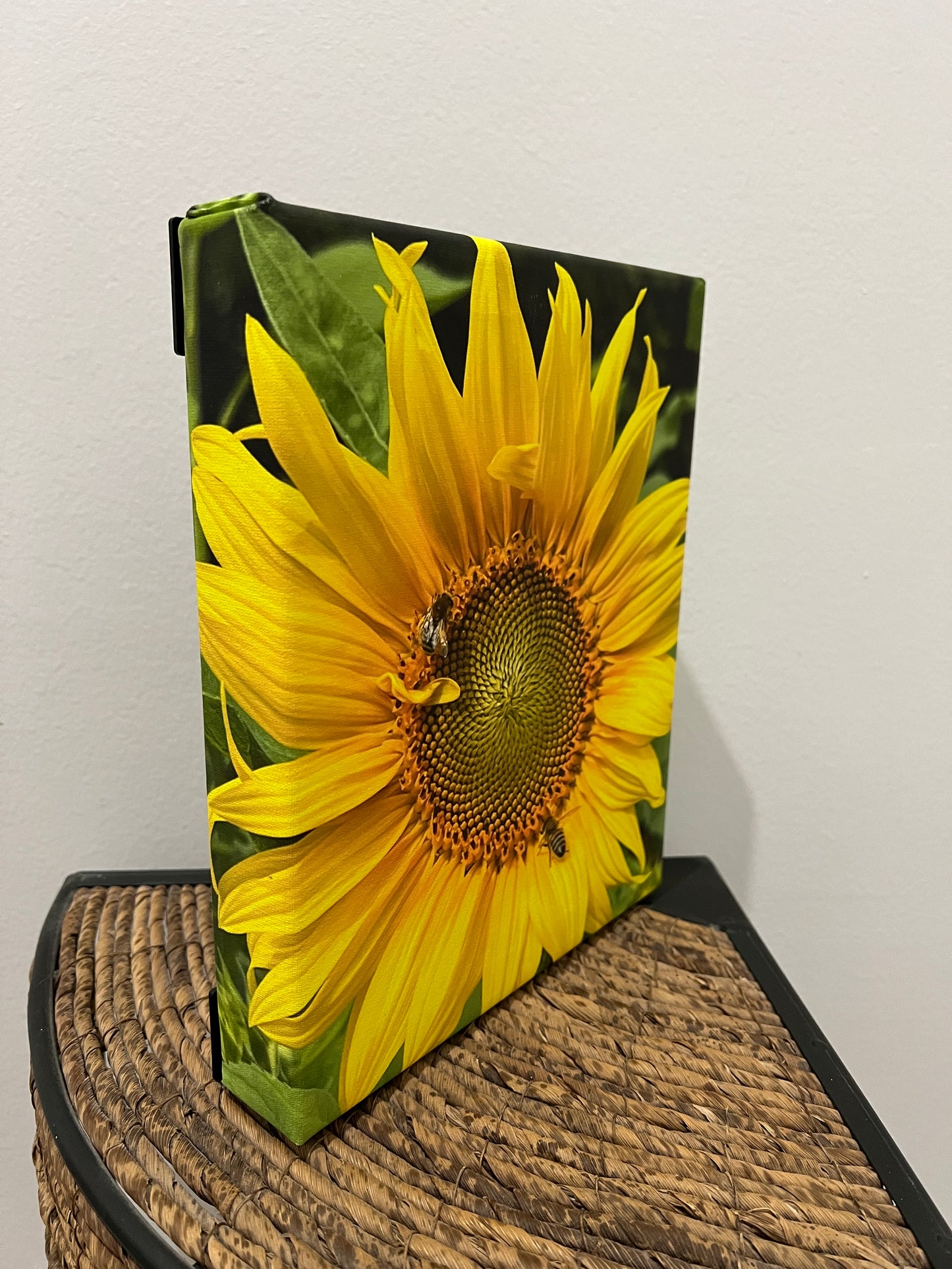 Sunflower Canvas