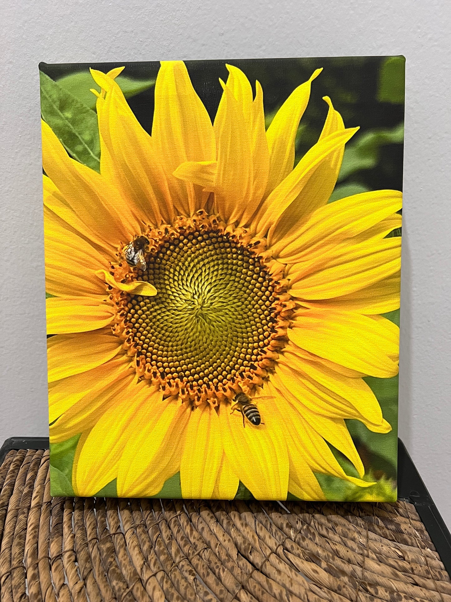 Sunflower Canvas