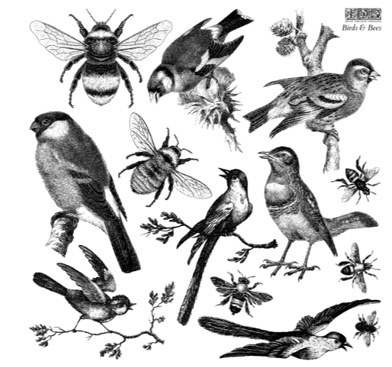 Iron Orchid Designs - Birds & Bees Stamp