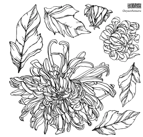 Iron Orchid Designs - Chrysanthemums Stamp