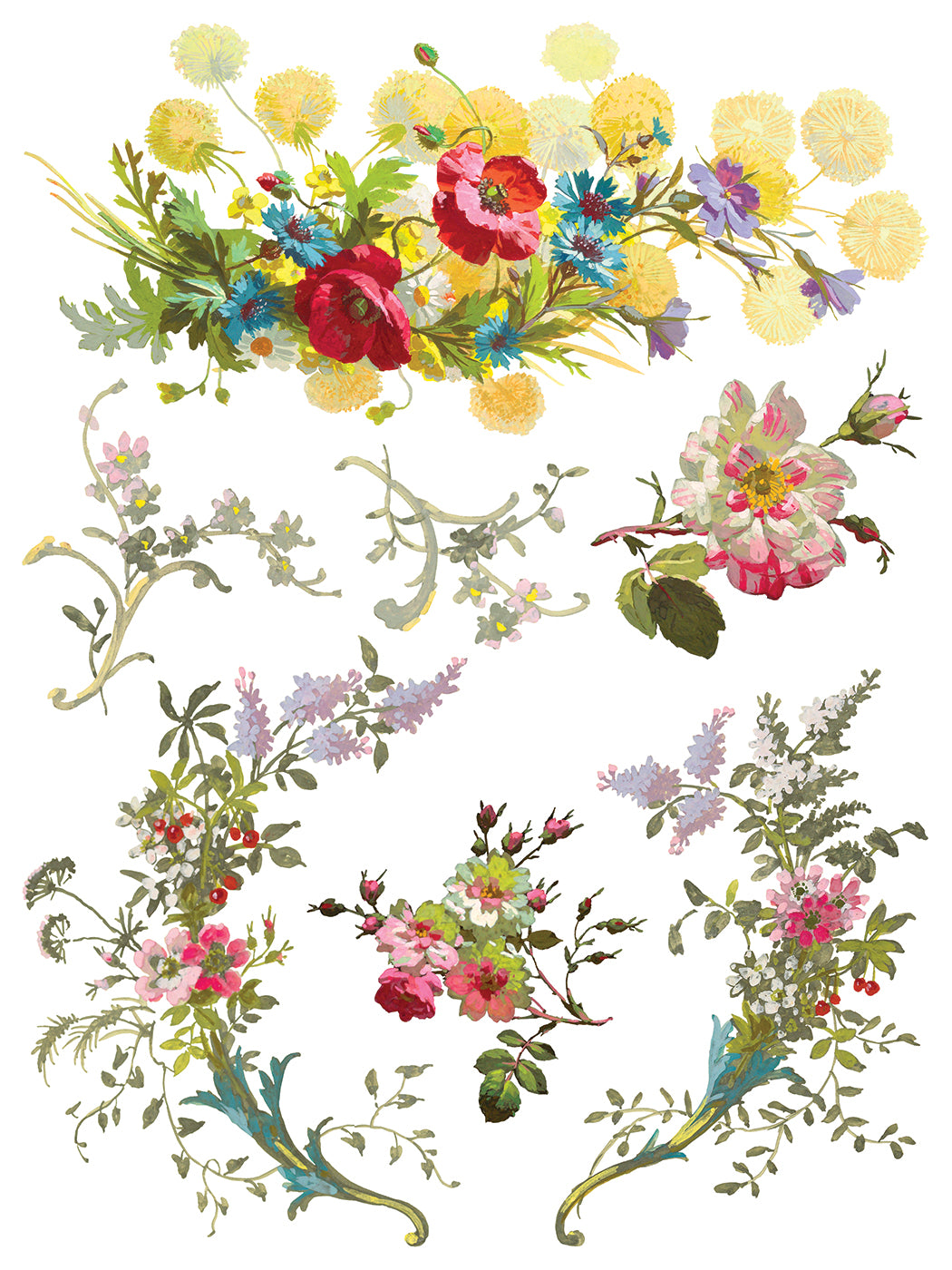 Iron Orchid Designs Saint Germain IOD Transfer