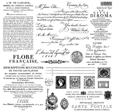 Iron Orchid Designs - Ephemeral Type Stamp