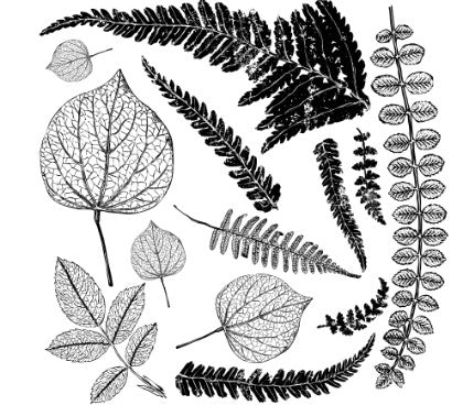 Iron Orchid Designs - Fronds Stamp