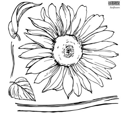 Iron Orchid Designs - Sunflowers Stamp