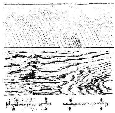 Iron Orchid Designs - Barnwood Planks Stamp