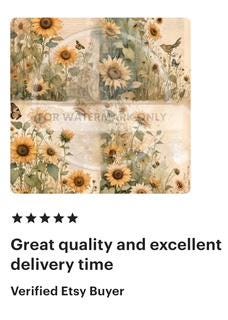 Dixie Belle Clear Coat Top Coat Finished in Flat, Satin and Gloss to Adhere and Seal Your Decoupage Projects